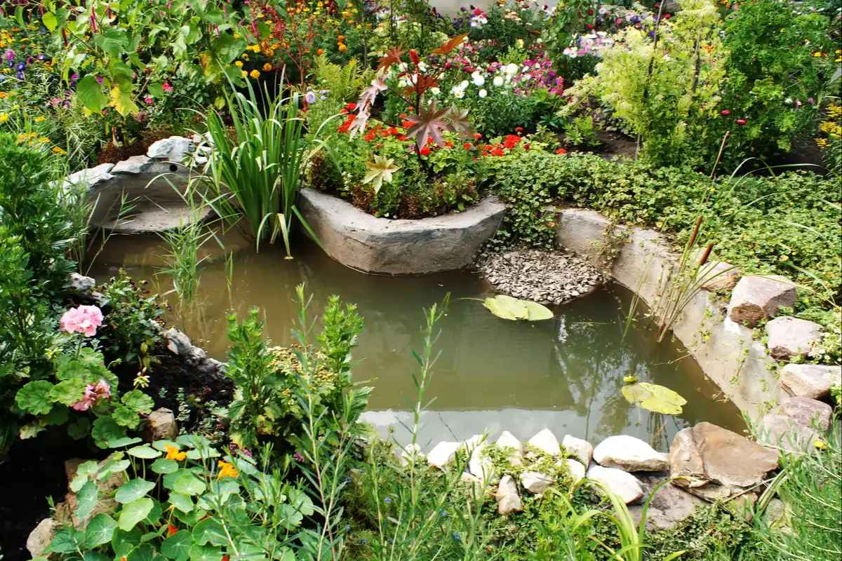 A Quick Guide to Building a Garden Pond