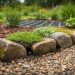 “Close-up of mixed stones with irregular gaps and low thyme or sedum growing between them in a wildlife-friendly garden bed”