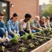 Volunteers kneeling and planting herbs in raised garden beds in a community urban garden with seedlings and greenery in view.