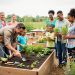 Diverse neighbors and children gathered at shared raised garden beds, hands-on planting seedlings and learning sustainable gardening techniques in an outdoor community garden.