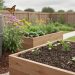 Backyard raised garden beds with dark compost soil, a nearby rainwater barrel, and native flowering plants with a butterfly in soft natural light.